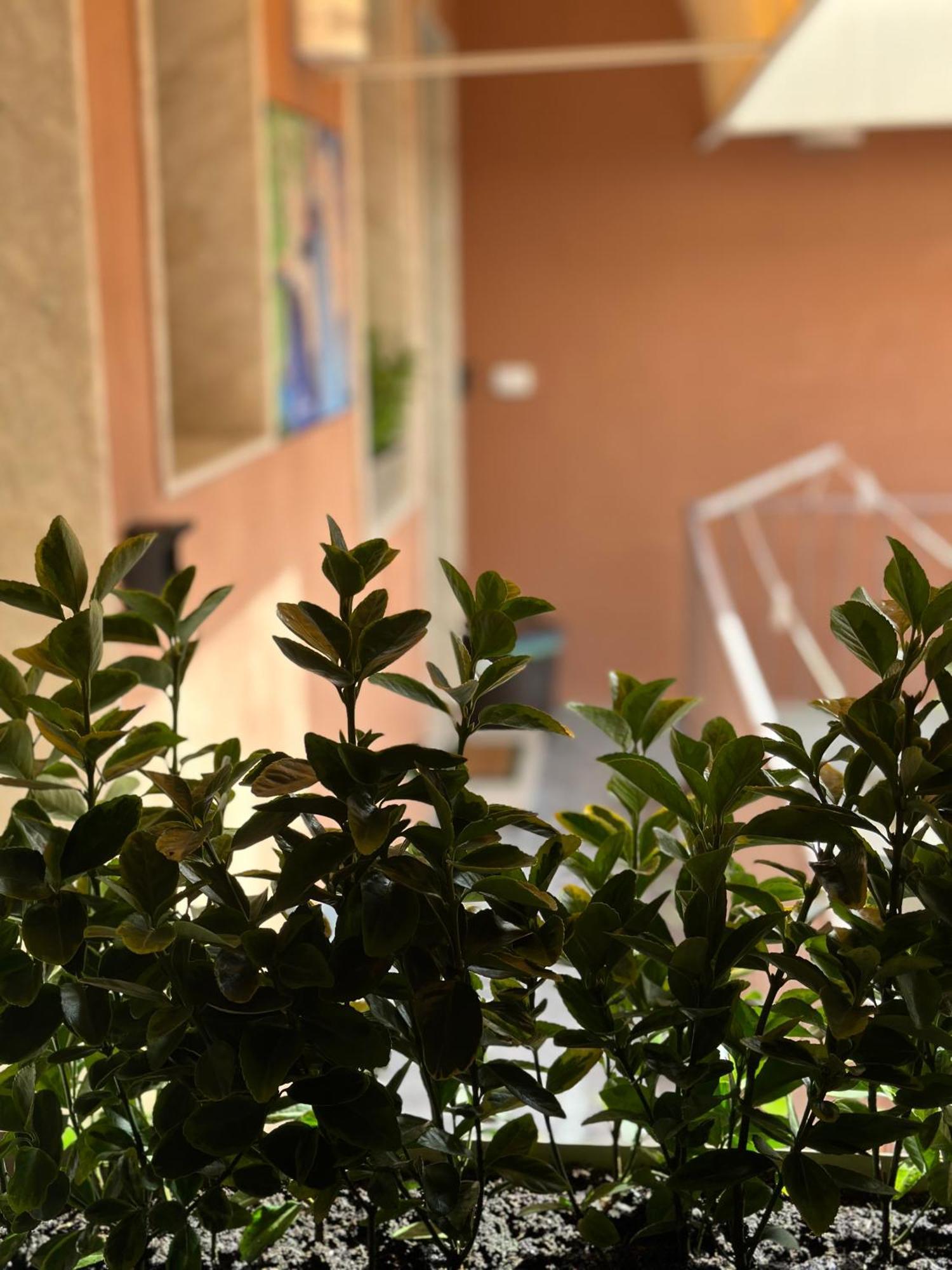 Le Camere Luxury Rooms Siracusa シラクーサ エクステリア 写真