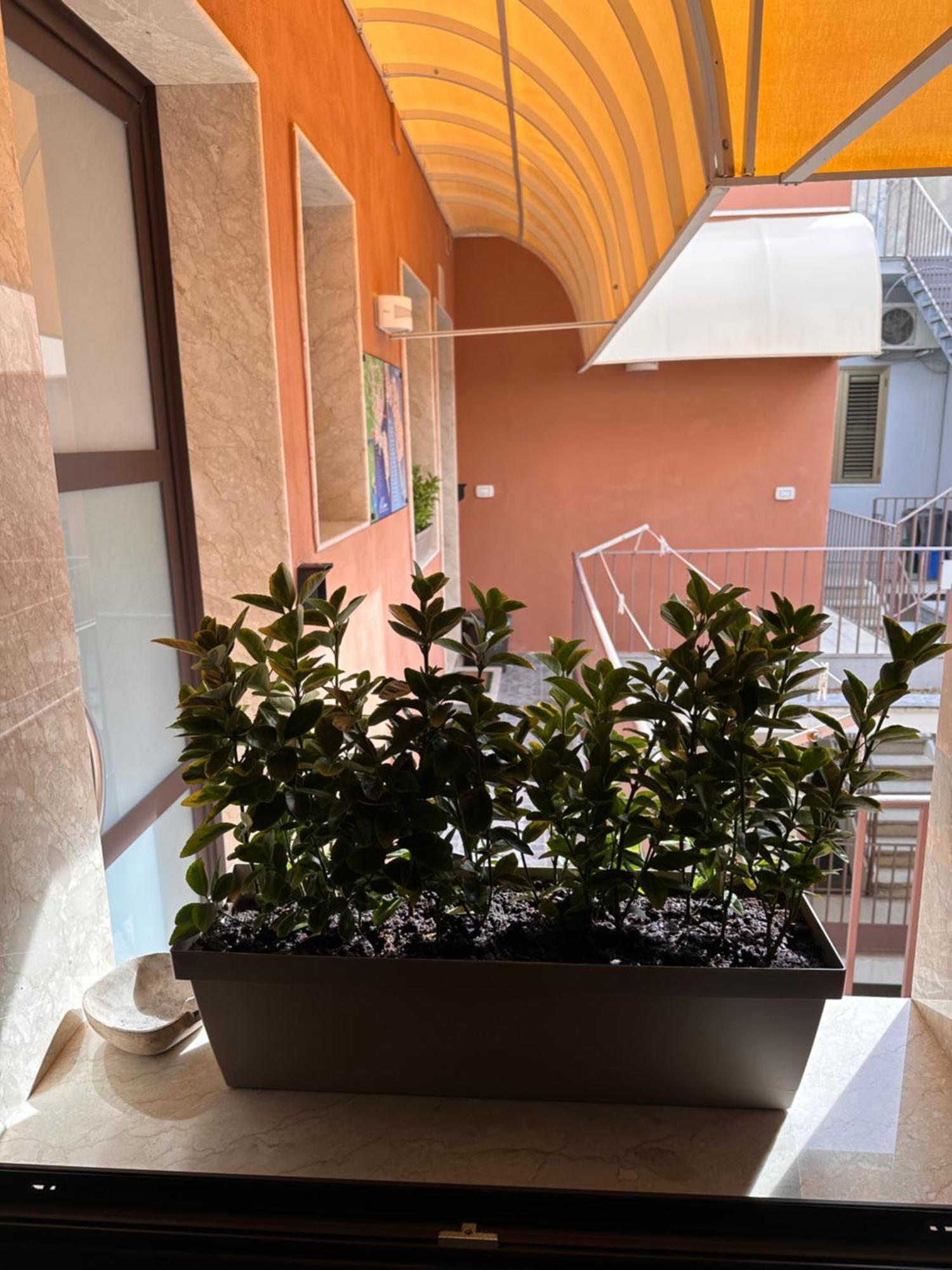 Le Camere Luxury Rooms Siracusa シラクーサ エクステリア 写真